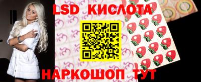 винт Будённовск