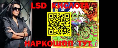 винт Будённовск
