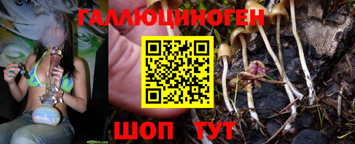 Галлюциногенные грибы мицелий  Вход с VPN  Кстово 